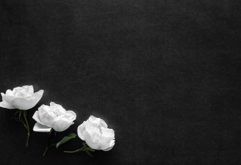 Por que é tão difícil deixar ir quem a gente ama?